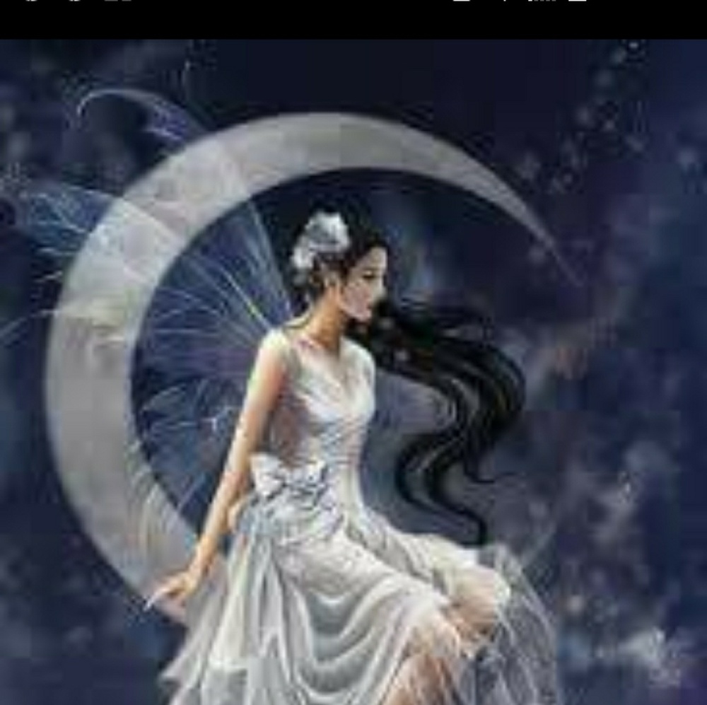 Meet your Posher, Leslie